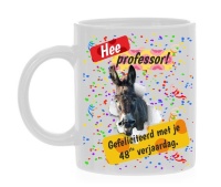 Koffiemok Ste Verjaardag Leuk Professor